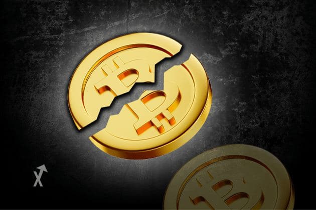 halving bitcoin
