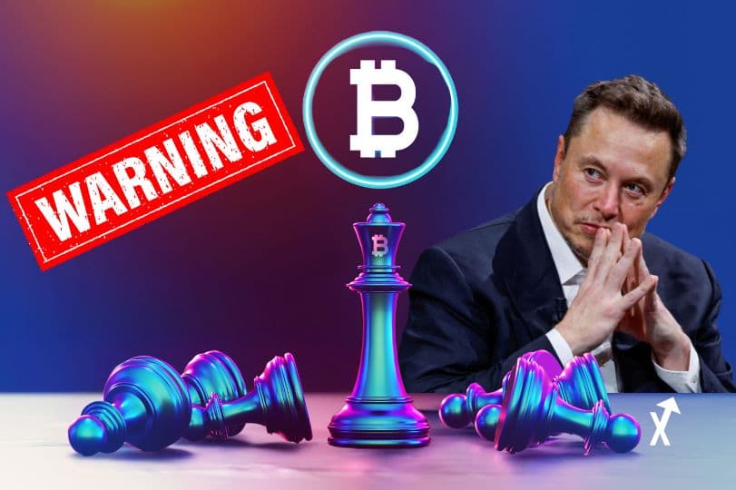 elon musk giveaway