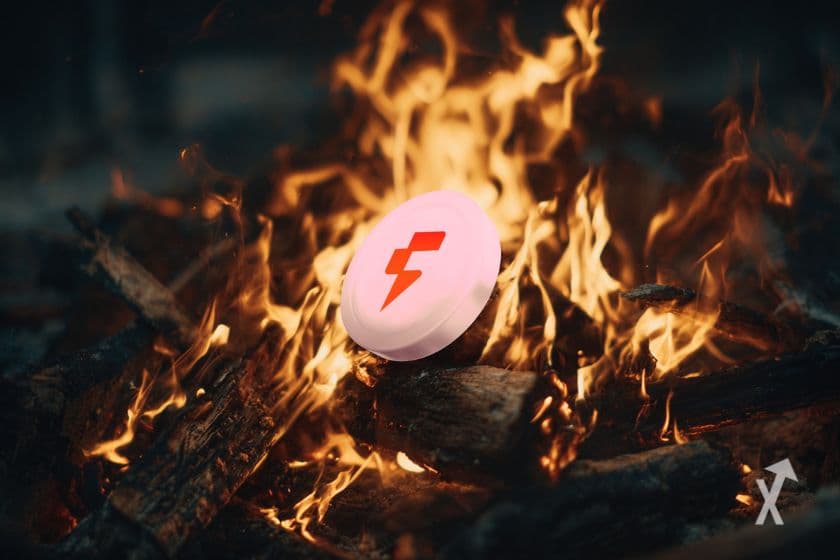 Le token de Fogo devant un feu de bois en pleine nature